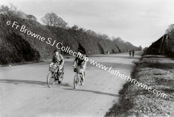 PHOENIX PARK MAIN ROAD WITH WARTIME TURF CLAMPS